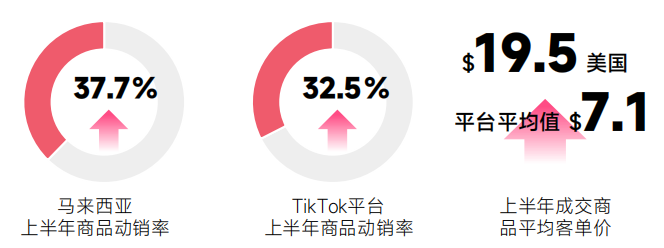 《2024上半年TikTok电商数据报告》解析+美国市场深度透视