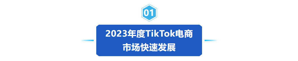 《2024年TikTok电商白皮书》重磅发布！